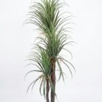 Lockti – Plante artificielle PVC, 2,20 m. Imposante, réaliste, zéro entretien.