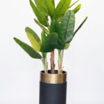 Bila – Pot métal noir et bronze. Élégant, moderne, sans plante.