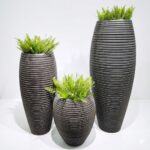 Pary – Pot + plante. Simple, complet, élégant.