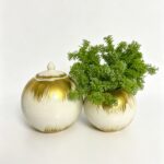 Duo de vase avec fleurs vernil